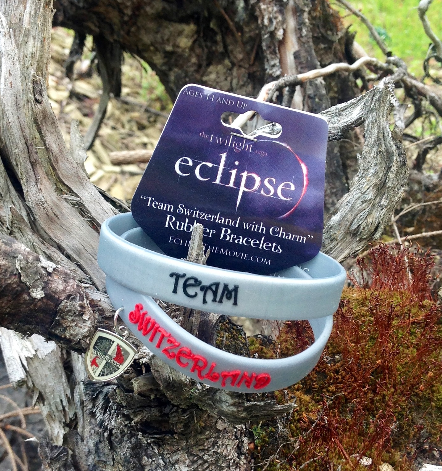 Twilight saga: Eclipse Team Switzerland štýlový náramok s príveskom